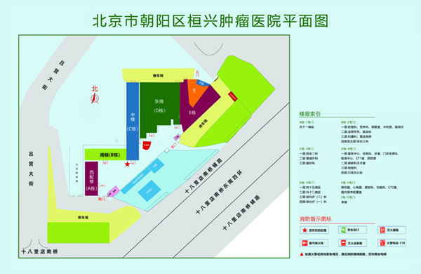 骚逼样了想大鸡巴插入操操视频北京市朝阳区桓兴肿瘤医院平面图